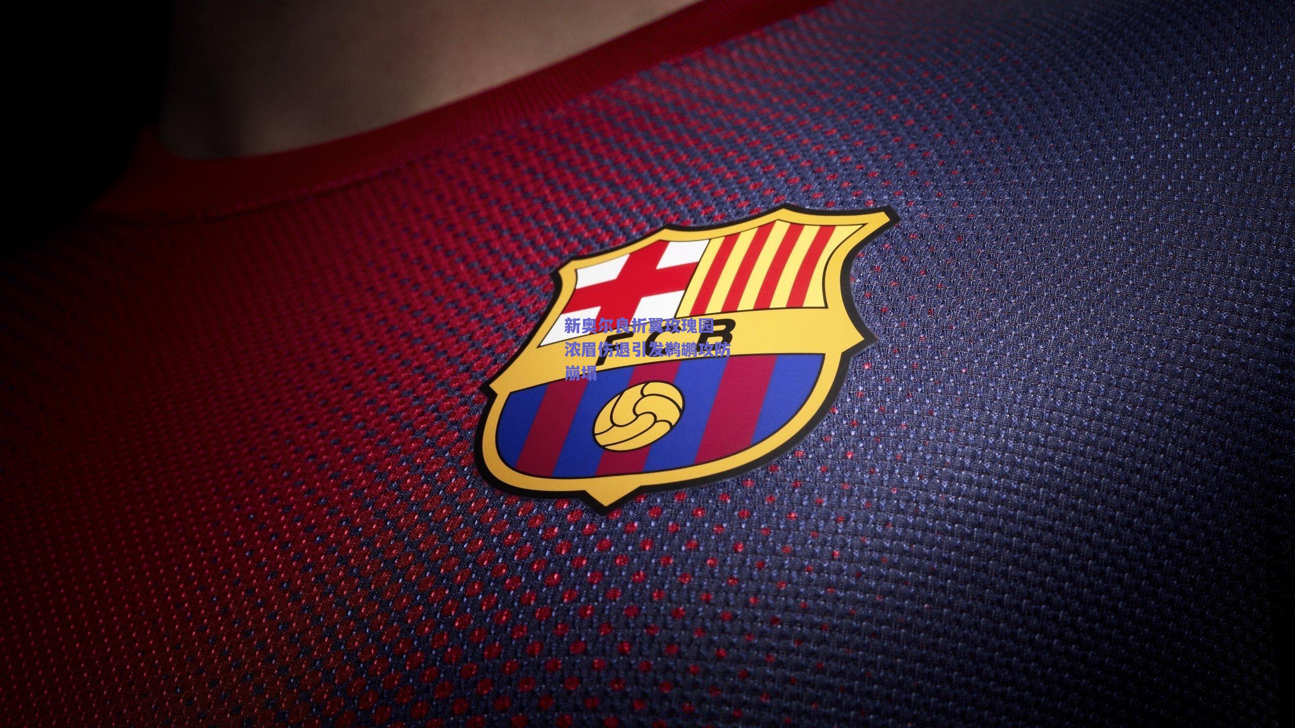 新奥尔良折翼玫瑰园 浓眉伤退引发鹈鹕攻防崩塌